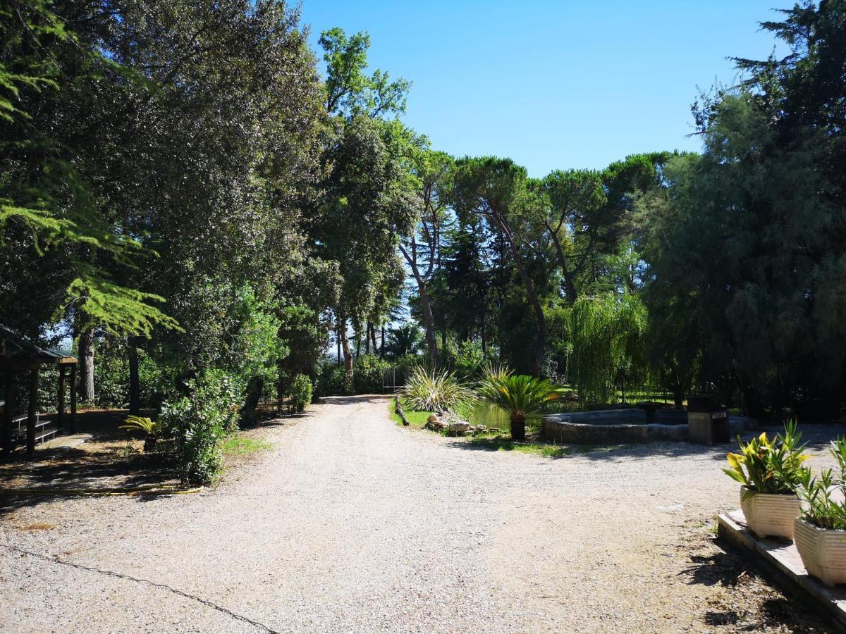 Agriturismo Tenuta La Muratella Ponte Galeria Exterior foto